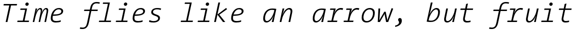 Thesis TheSans Mono Light Italic