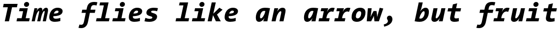 Thesis TheSans Mono Extra Bold Italic