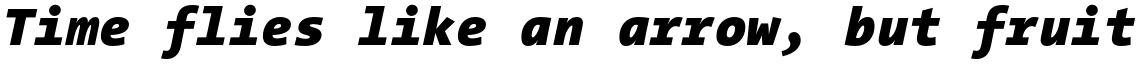 Thesis TheSans Mono Black Italic