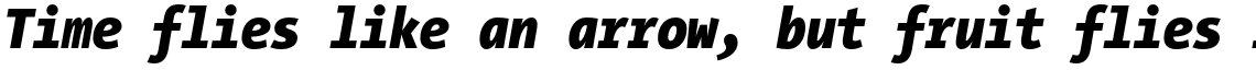 Thesis TheSans Mono Condensed Black Italic
