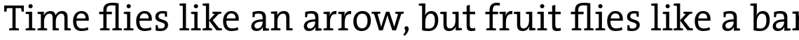 Thesis TheSerif Office (4 typefaces)
