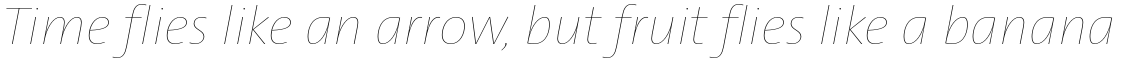 TheSans Hair H13 Italic