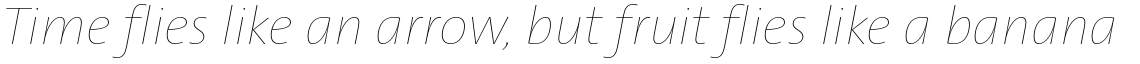 TheSans Hair H16 Italic