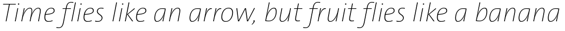 TheSans Hair H31 Italic