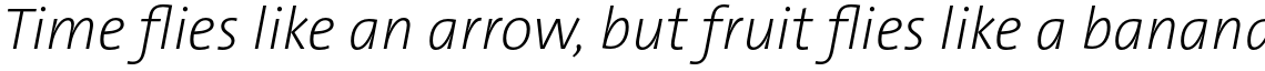 TheSans Basic (C5) Extra Light Italic