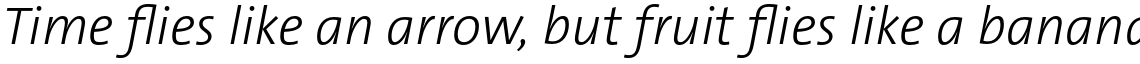 TheSans Basic (C5) Light Italic