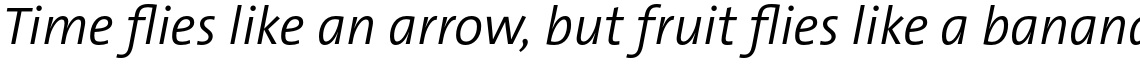 TheSans Basic (C5) Semi Light Italic