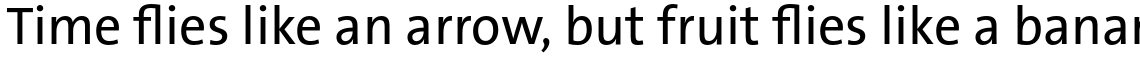 TheSans Basic (C5) Plain