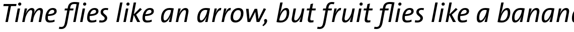 TheSans Basic (C5) Plain Italic