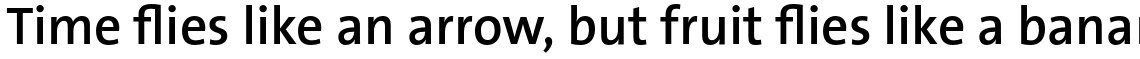 TheSans Basic (C5) Semi Bold