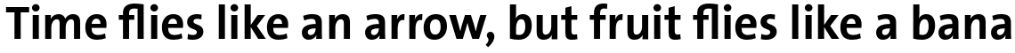 TheSans Basic (C5) Bold