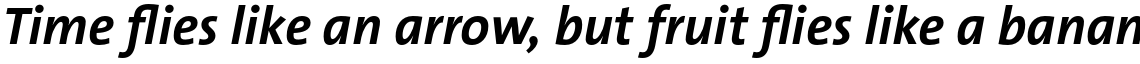 TheSans Basic (C5) Bold Italic