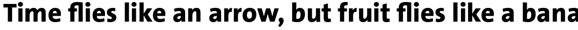 TheSans Basic (C5) Extra Bold