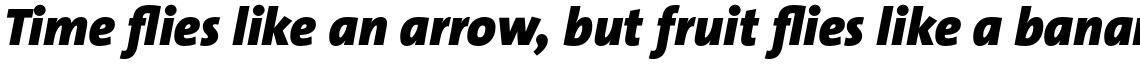 TheSans Basic (C5) Black Italic