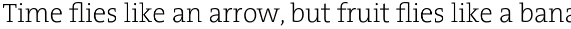 TheSerif Basic (C5) 1.1 Extra Light