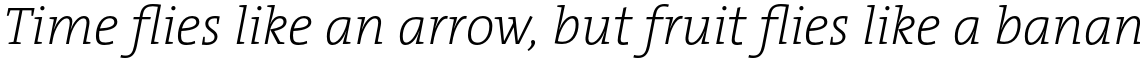 TheSerif Basic (C5) 1.1 Extra Light italic