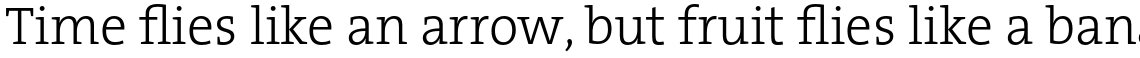 TheSerif Basic (C5) 1.1 Light