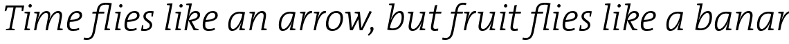 TheSerif Basic (C5) 1.1 Light Italic