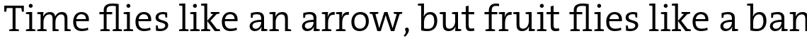 TheSerif Basic (C5) 1.1 Semi Light