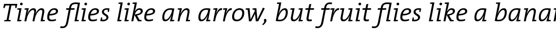 TheSerif Basic (C5) 1.1 Semi Light Italic