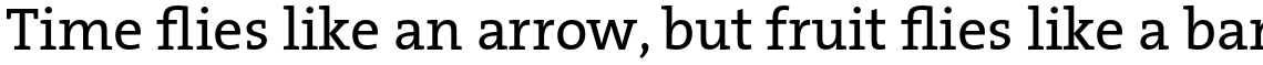 TheSerif Basic (C5) 1.1 Plain