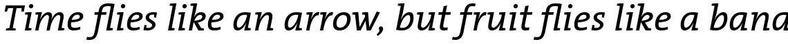TheSerif Basic (C5) 1.1 Plain Italic