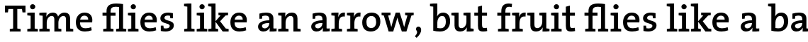 TheSerif Basic (C5) 1.1 Semi Bold