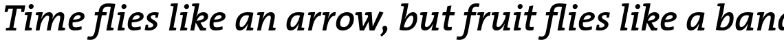 TheSerif Basic (C5) 1.1 Semi Bold Italic