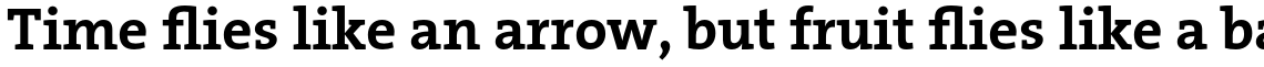 TheSerif Basic (C5) 1.1 Bold
