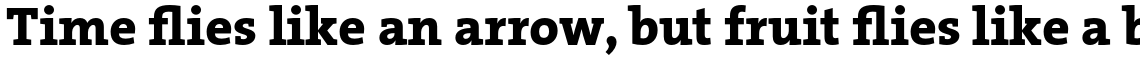 TheSerif Basic (C5) 1.1 Extra Bold
