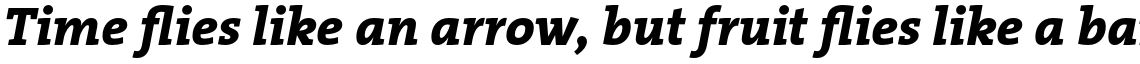 TheSerif Basic (C5) 1.1 Extra Bold Italic