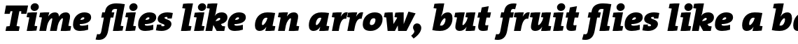 TheSerif Basic (C5) 1.1 Black Italic