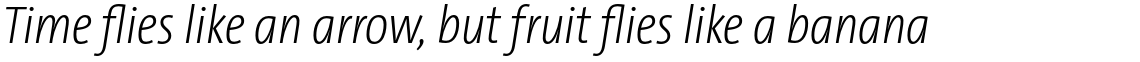 TheSansCondensed (C4s) 3.027 Extra Light Italic