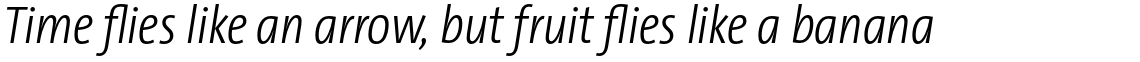 TheSansCondensed (C4s) 3.027 Light Italic