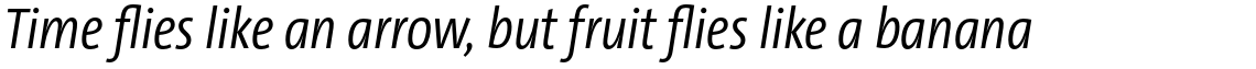 TheSansCondensed (C4s) 3.027 Semi Light Italic