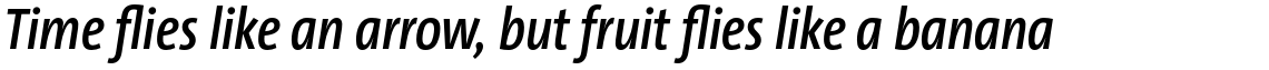 TheSansCondensed (C4s) 3.027 Semi Bold Italic