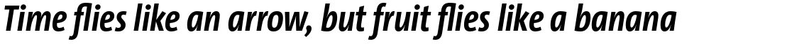 TheSansCondensed (C4s) 3.027 Bold Italic