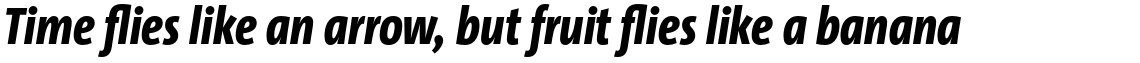 TheSansCondensed (C4s) 3.027 Extra Bold Italic