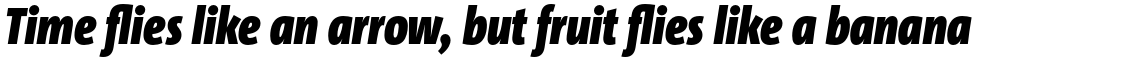 TheSansCondensed (C4s) 3.027 Black Italic