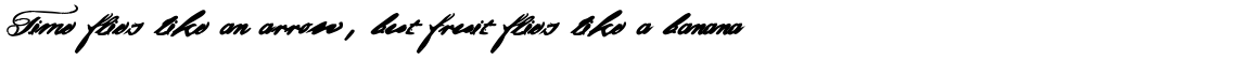 Article 10 Bold