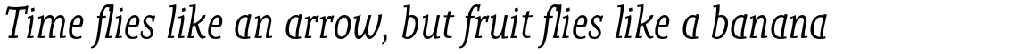 Adobe Palatino Italic