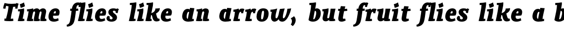 Adobe Palatino Bold Italic