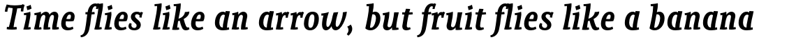 Adobe Palatino Medium Italic