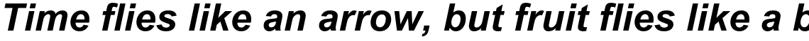 Arial Bold Italic