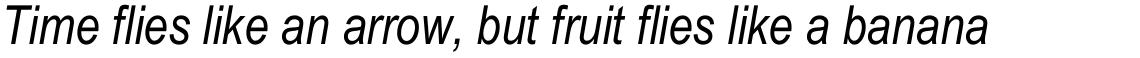 Arial Narrow Italic