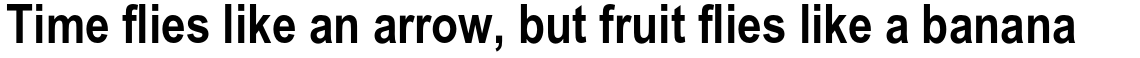 Arial Narrow Bold