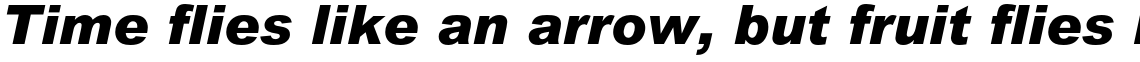 Arial Black Italic