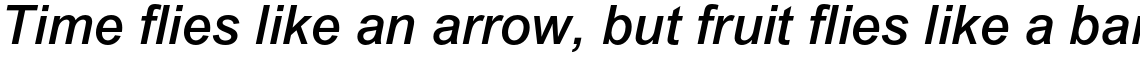 Arial Medium Italic