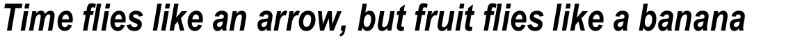 Arial Narrow CE Bold Italic Package