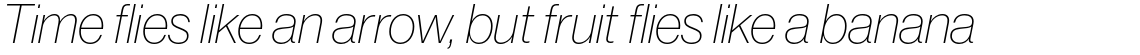 Neue Haas Grotesk Std Display 26 XThin Italic